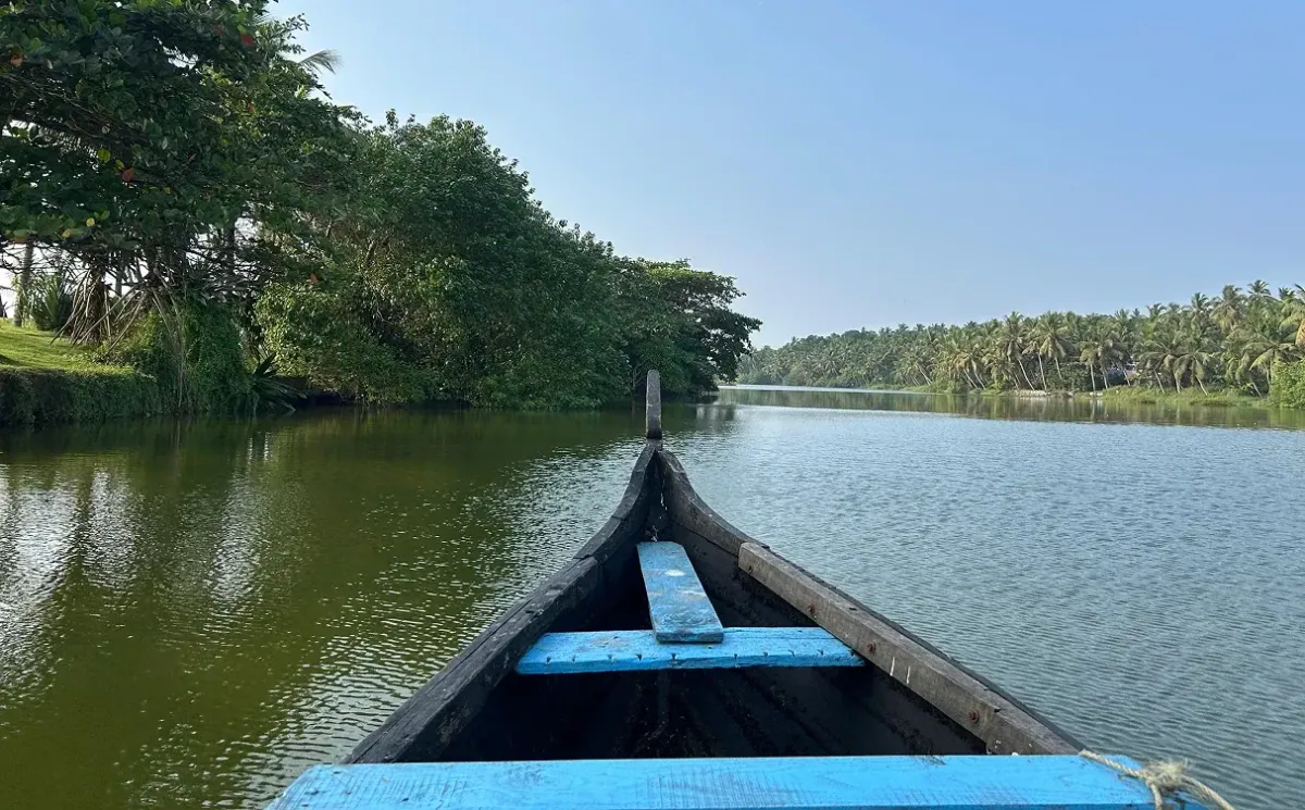 Bow of a wooden boat on a calm backwater lined with palm trees